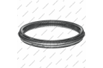 Ремень вариатора (#901068, F6, по 9 соединительных лент)