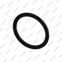 Резиновое кольцо гидротрансформатора (OD 22mm)