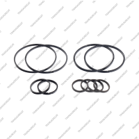 Комплект уплотнительных колец (10шт.)