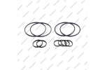 Комплект уплотнительных колец (10шт.)