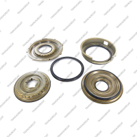 Комплект поршней (5шт., обрезиненные)