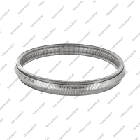 Ремень вариатора (#901063/901082*/901086, F6, по 12 соединительных лент)*