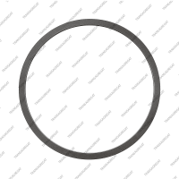 Пружинный диск B3